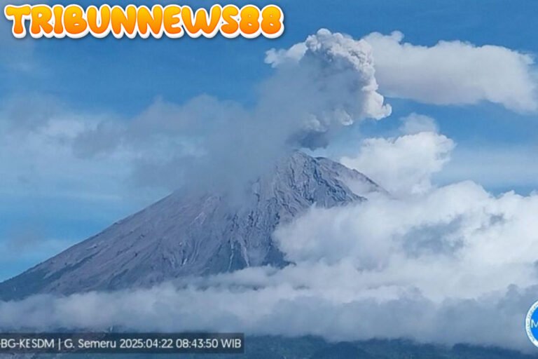 Gunung Semeru Alami Empat Kali Erupsi, Tinggi Letusan Capai 800 Meter