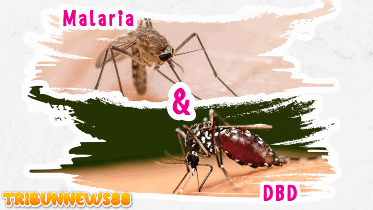 Apa Beda Gejala Malaria dengan DBD?